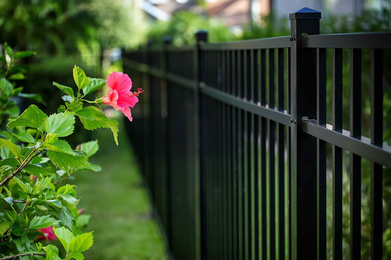 Photo of a fence in Sarasota Florida